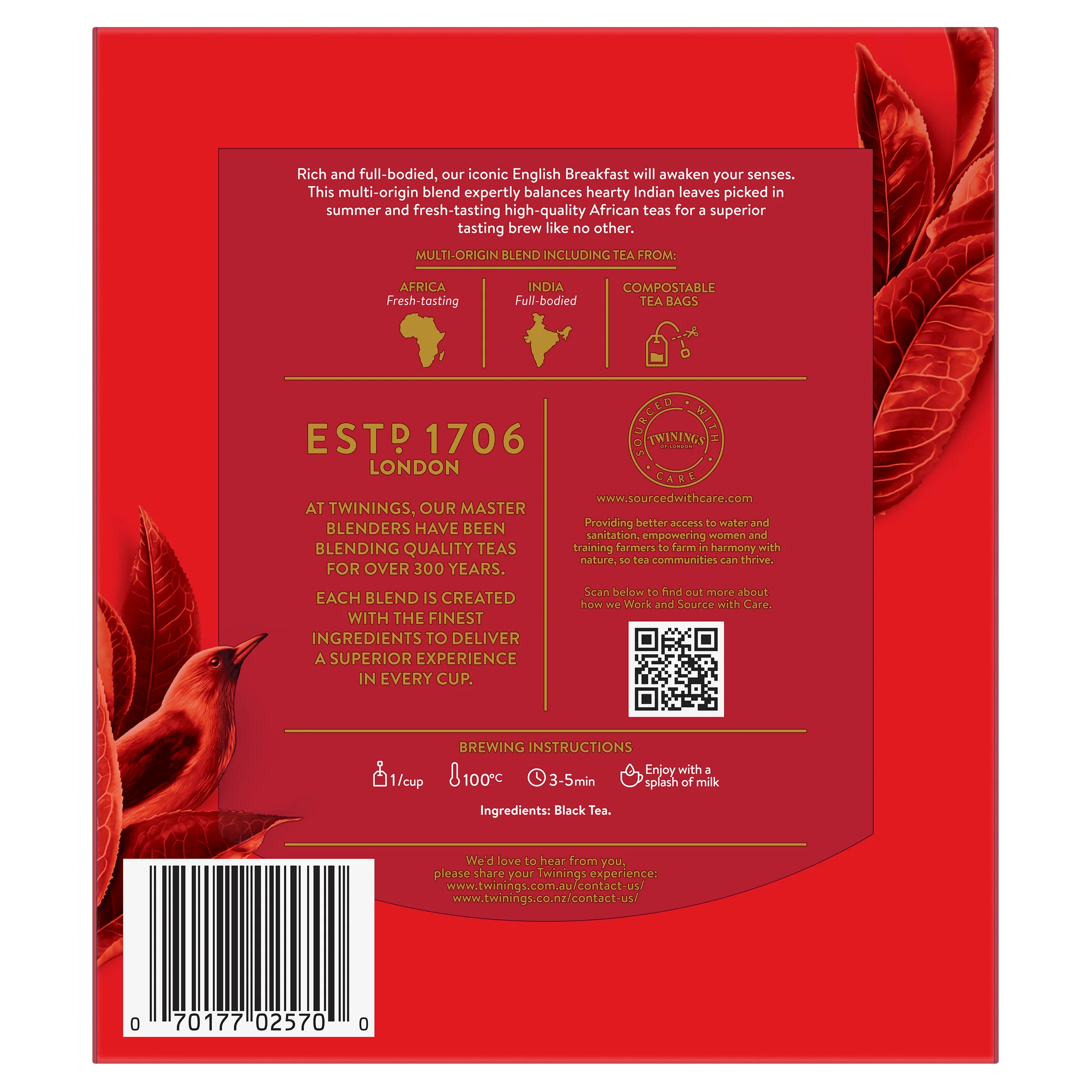 English Breakfast 6 Pack Bundle - Image 4